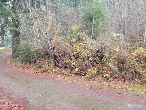 5 NE L Ne 2nd St, Winlock, WA 98596