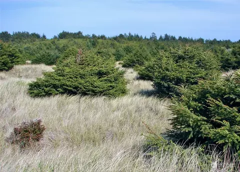 0 Lot 1 State Route 109, Copalis Beach, WA 98535