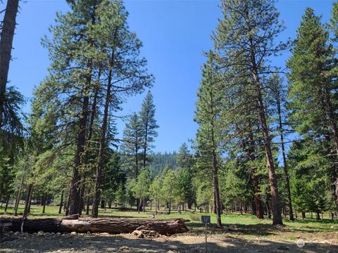 17 Domerie Park Loop, Cle Elum, WA 98922