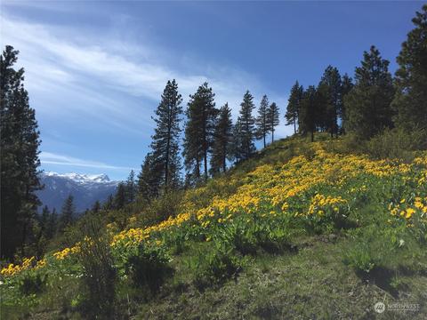 1405 Juneberry Ln, Leavenworth, WA 98826