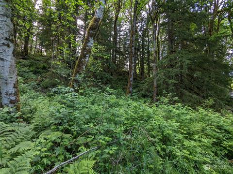 0 Wits End Pl, Index, WA 98256
