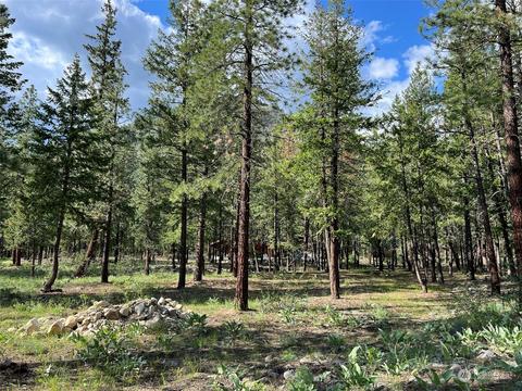 14 Summerland Ln, Mazama, WA 98833