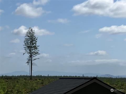 151 Eastwood Ln, Union, WA 98592
