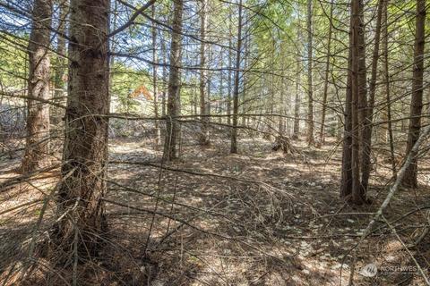 6 Paintbrush Ln, Ronald, WA 98940