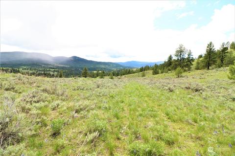 80 Marlys Rd, Tonasket, WA 98855