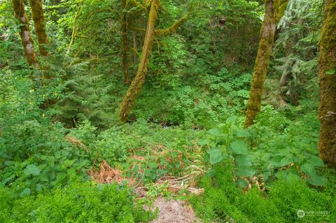 36917 249th Ave SE, Enumclaw, WA 98022 photo 35
