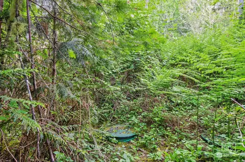 70 E Columbine Ln, Grapeview, WA 98546 photo 7