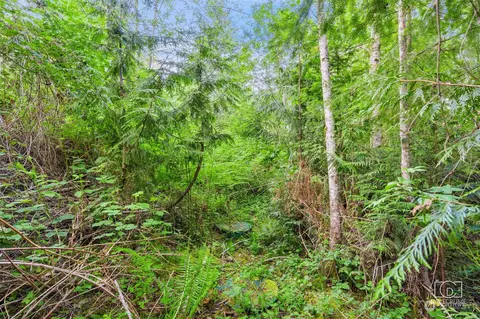 70 E Columbine Ln, Grapeview, WA 98546 photo 8