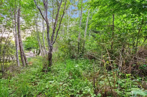 70 E Columbine Ln, Grapeview, WA 98546 photo 9