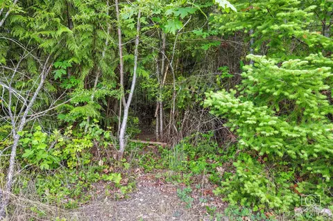 70 E Columbine Ln, Grapeview, WA 98546 photo 4