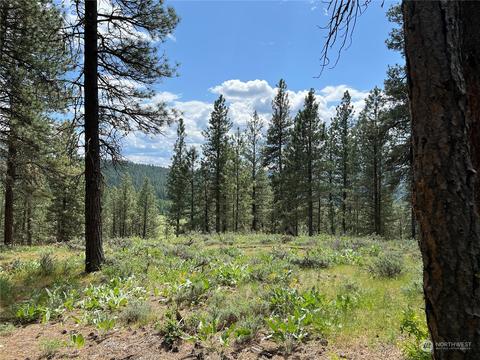 0 Lot 3 Weihl Rd, Cle Elum, WA 98922