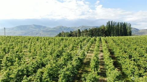 0 Nnn Veroske Rd, Manson, WA 98831