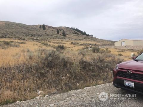 111 Tbd Canyon View Rd, Oroville, WA 98844