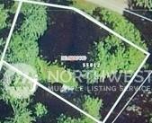 55812 317th Ave E, Ashford, WA 98304