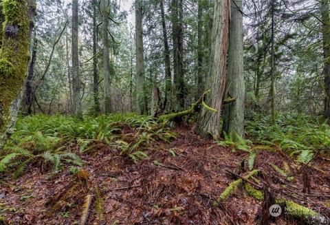 0 Lot 4 Sandy Hook Rd NE, Poulsbo, WA 98370