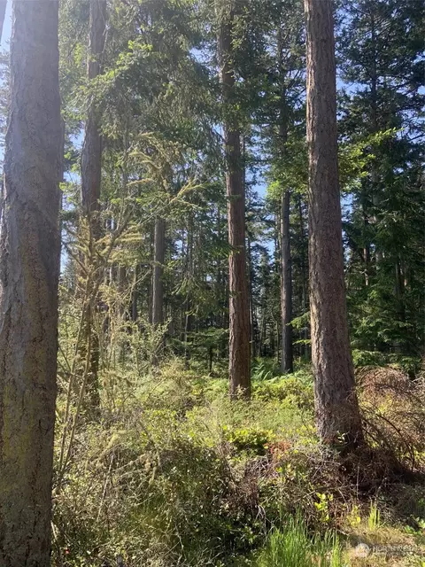 153 Limes Rd, Lopez Island, WA 98261