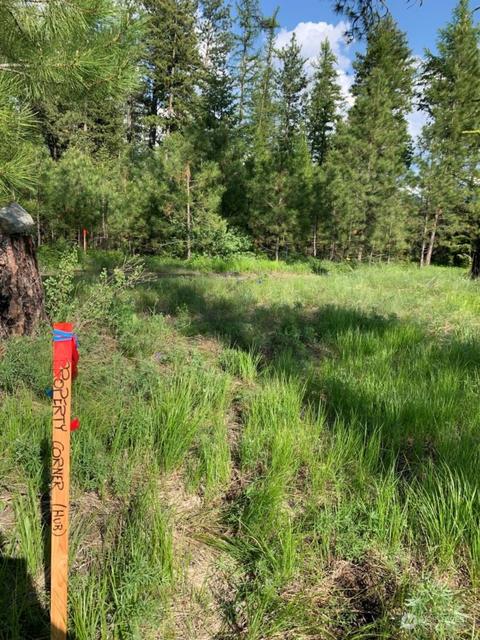 0 Rustlers Hide-a Way, Tonasket, WA 98855