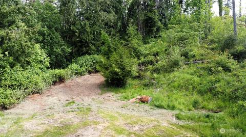141 Wallace Rd, Chehalis, WA 98532 photo 18