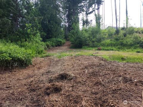 141 Wallace Rd, Chehalis, WA 98532 photo 7