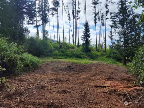 141 Wallace Rd, Chehalis, WA 98532 photo 4