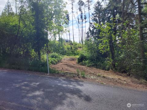 141 Wallace Rd, Chehalis, WA 98532 photo 12