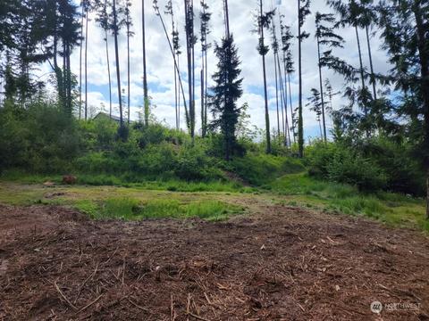 141 Wallace Rd, Chehalis, WA 98532 photo 9