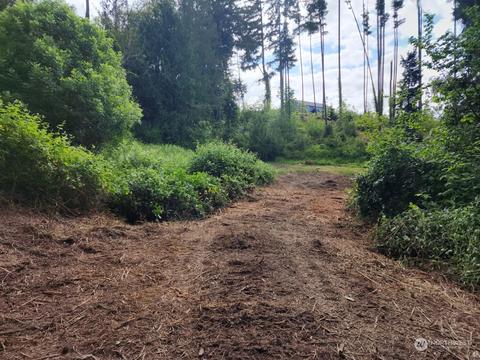 141 Wallace Rd, Chehalis, WA 98532 photo 2