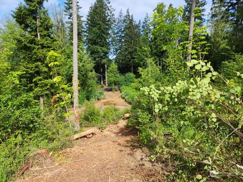 141 Wallace Rd, Chehalis, WA 98532 photo 11