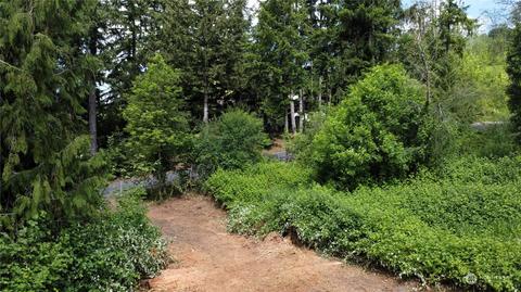 141 Wallace Rd, Chehalis, WA 98532 photo 17