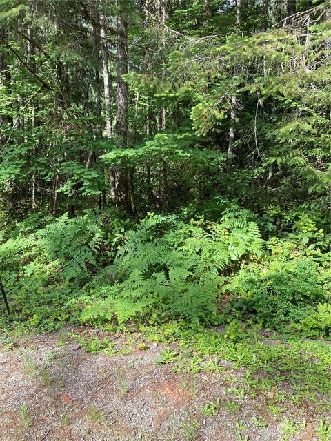 530 N Mt Jupiter Ct, Hoodsport, WA 98548