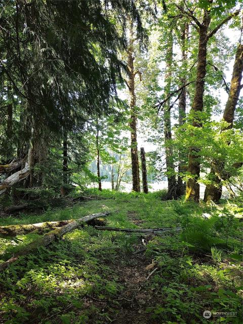 299 Baker Rd, Randle, WA 98377 photo 18