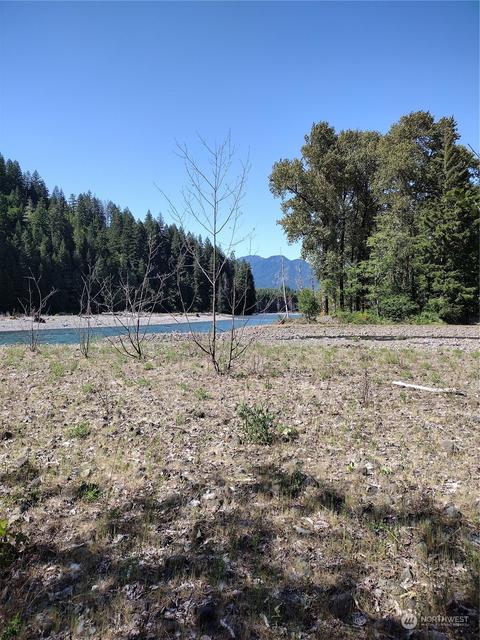 299 Baker Rd, Randle, WA 98377 photo 7