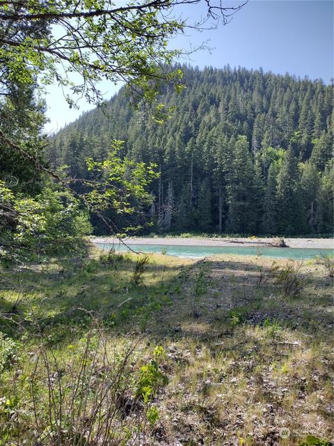299 Baker Rd, Randle, WA 98377 photo 5