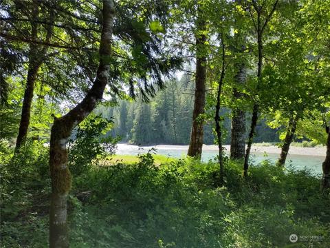 299 Baker Rd, Randle, WA 98377 photo 3
