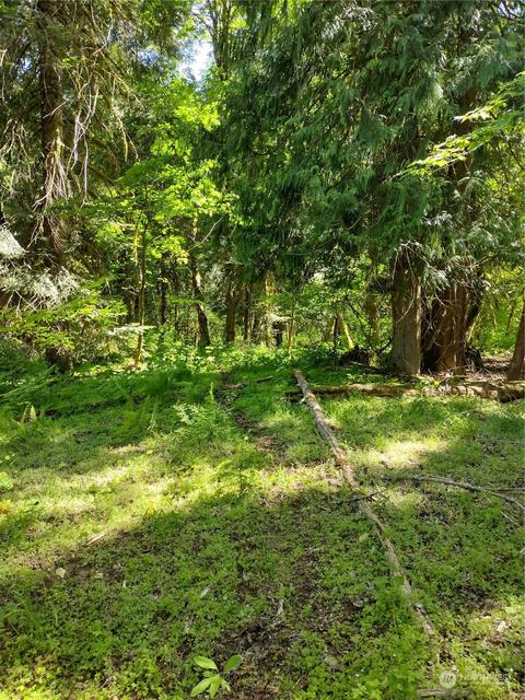 299 Baker Rd, Randle, WA 98377 photo 2