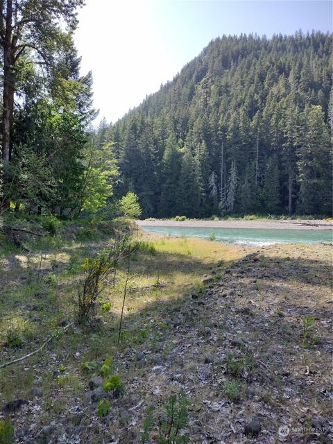 299 Baker Rd, Randle, WA 98377 photo 8