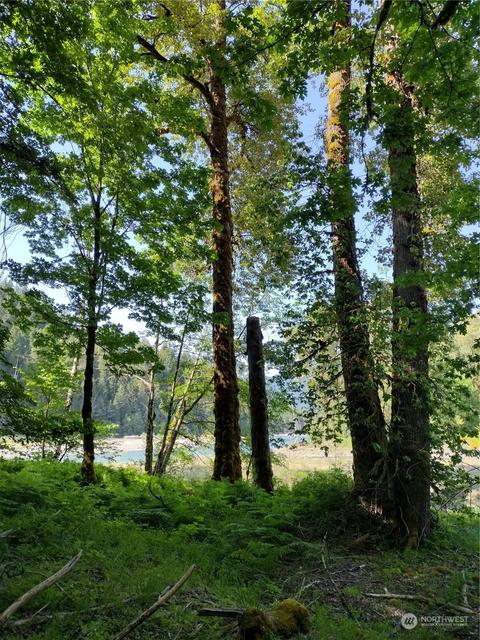 299 Baker Rd, Randle, WA 98377 photo 6