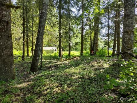 299 Baker Rd, Randle, WA 98377 photo 11