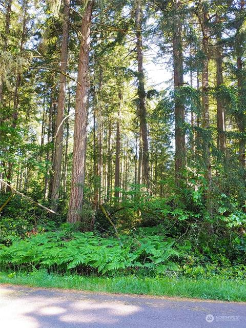 11320 Country Club Dr, Anderson Island, WA 98303