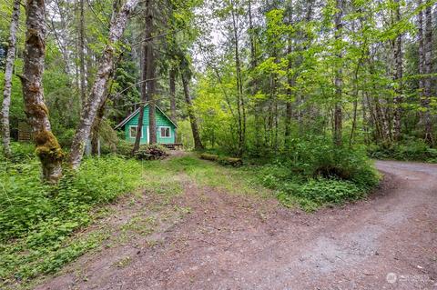 55311 265th Ave E, Ashford, WA 98304