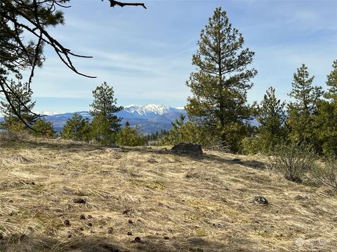 154 Cartwright Dr, Tonasket, WA 98855