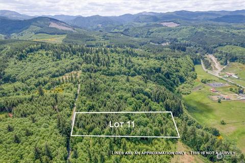 11 Hill St, Pe Ell, WA 98572