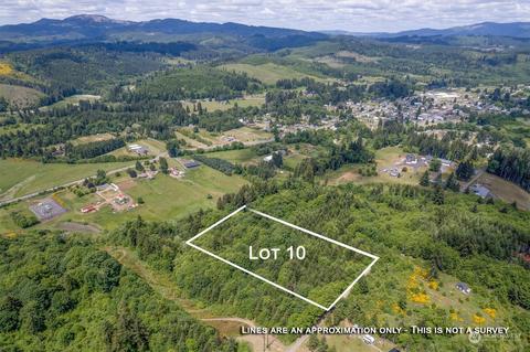 10 Hill St, Pe Ell, WA 98572