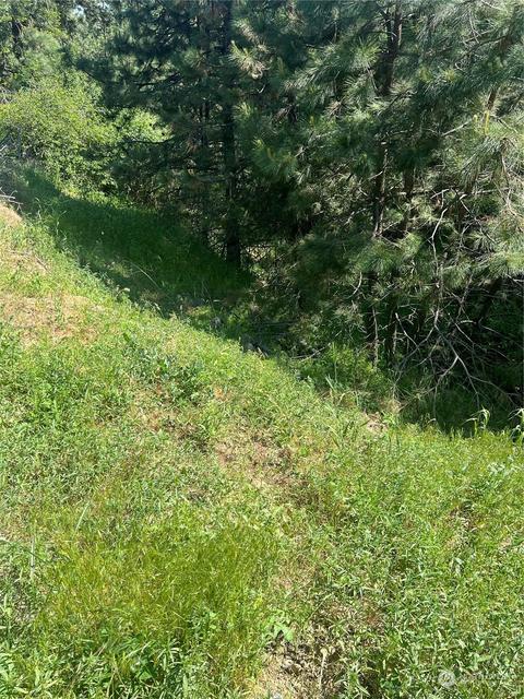611 N Park St, Cle Elum, WA 98922