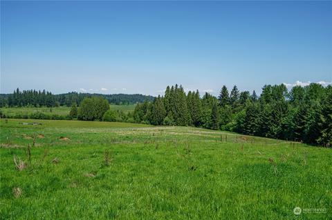 0 Lot 3 Carnine Rd, Castle Rock, WA 98611