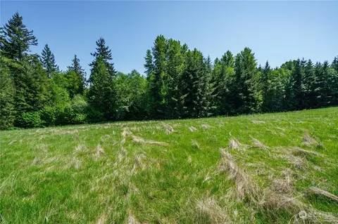 0 Lot 4 Carnine Rd, Castle Rock, WA 98611