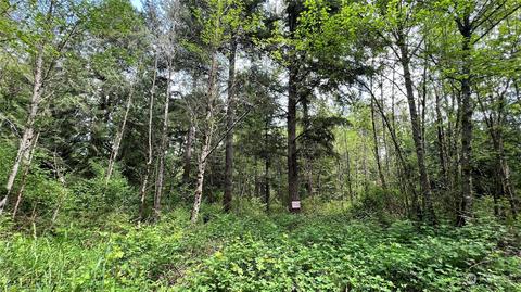 24517 120th Ave E, Graham, WA 98338