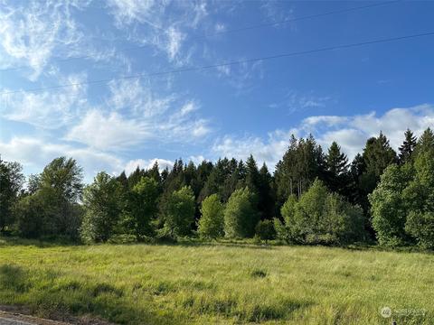 0 Browning Rd, Chehalis, WA 98532 photo 9
