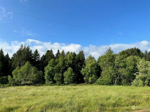 0 Browning Rd, Chehalis, WA 98532 photo 8