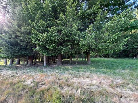 0 Browning Rd, Chehalis, WA 98532 photo 10